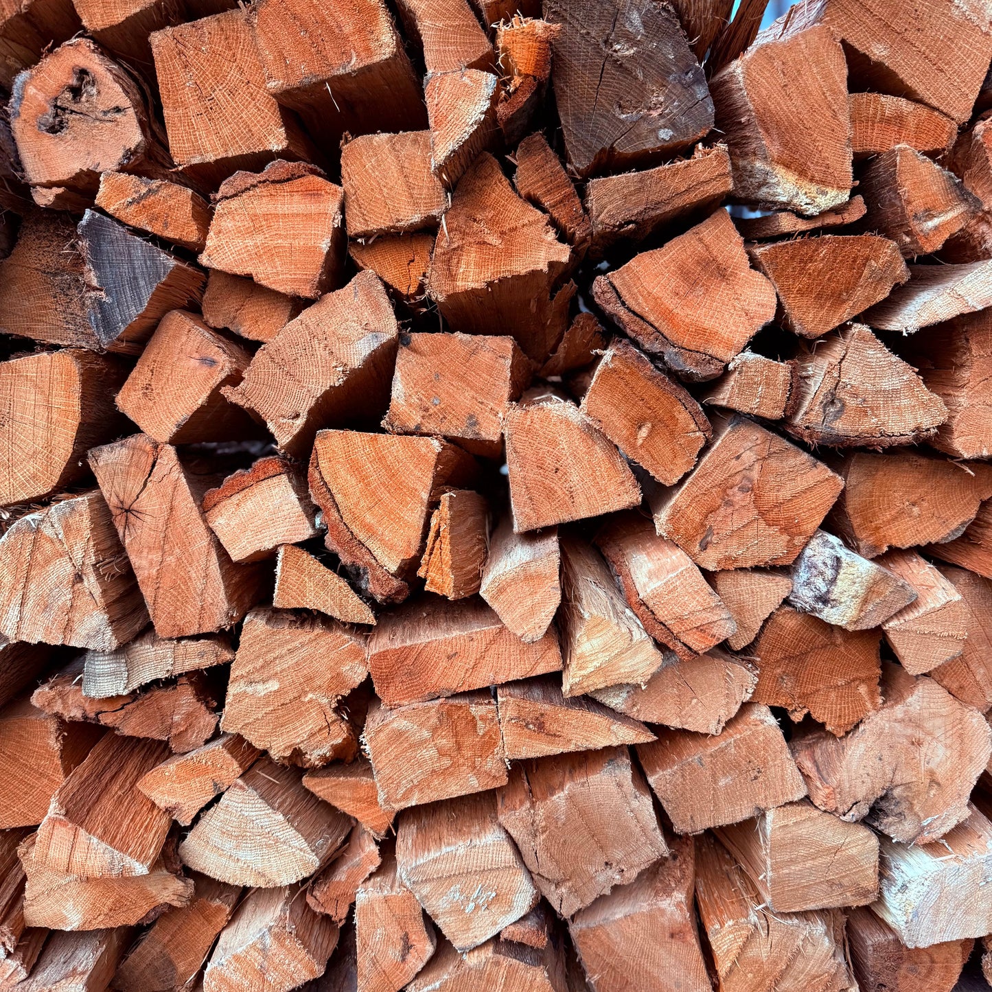 Kiln-dried Oak Firewood on a Portable Rack