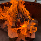 Premium kiln-dried oak firewood close-up — low moisture, bug-free