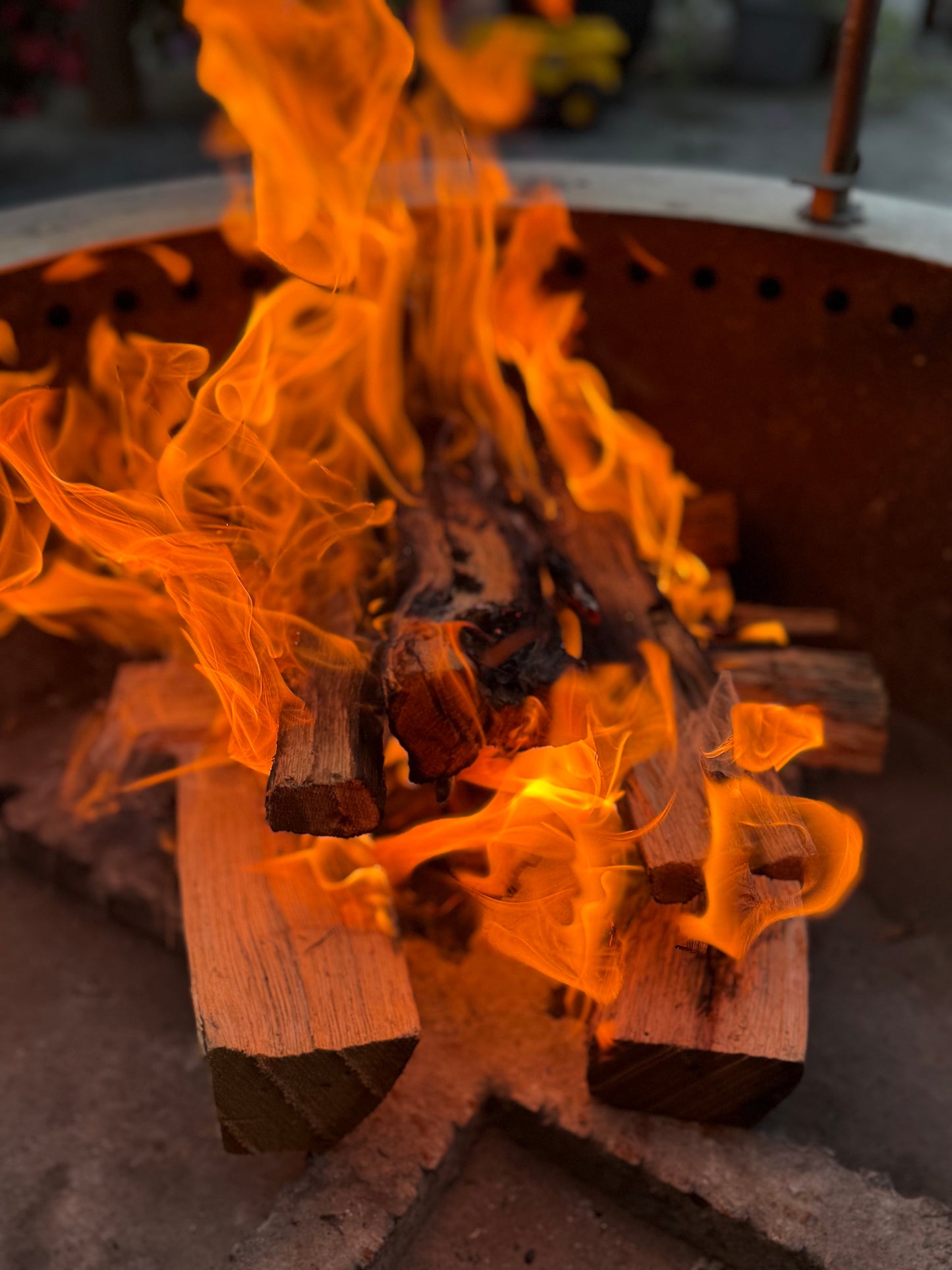 Kiln-dried Oak Firewood on a Portable Rack